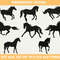 horse.jpg