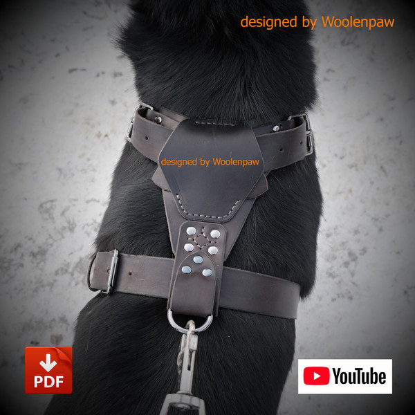 template Dog harness .JPG