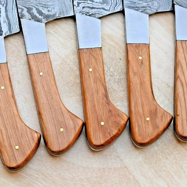 Professional Chef knives sets.jpeg