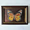 Handwritten-insect-orange-yellow-butterfly-encrusted-with-crystals-by-acrylic-paints-1.jpg