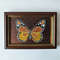 Handwritten-insect-orange-yellow-butterfly-encrusted-with-crystals-by-acrylic-paints-6.jpg
