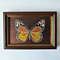 Handwritten-insect-orange-yellow-butterfly-encrusted-with-crystals-by-acrylic-paints-8.jpg
