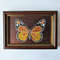 Handwritten-insect-orange-yellow-butterfly-encrusted-with-crystals-by-acrylic-paints-11.jpg