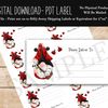 PV Gnome Ladybug Mail Carrier PDT.jpg