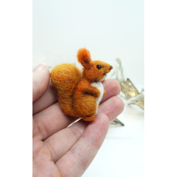 miniature-squirrel-1