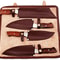Professional Chef knives sets.jpeg
