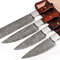 Professional Chef knives sets buy.jpeg