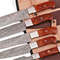 Professional Kitchen Knives sets with case.jpeg