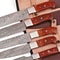 Professional Kitchen Knives sets with casejpeg