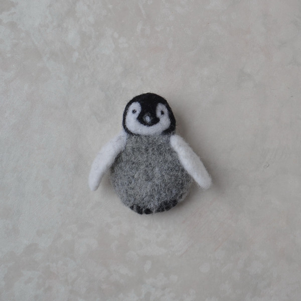 Baby penguin Emperor penguin chick (10).JPG
