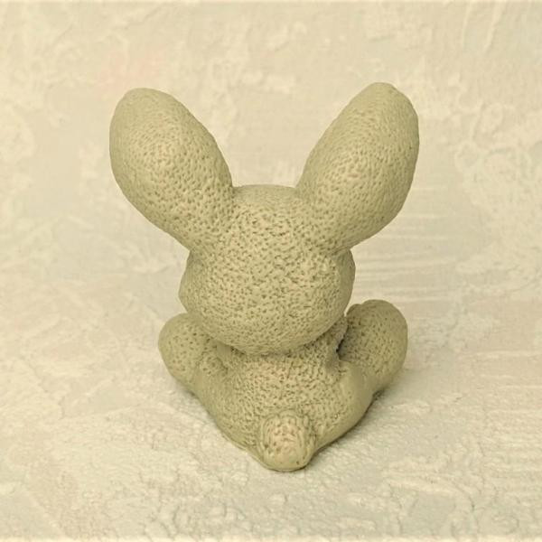 434-5 Baby bunny.jpg