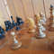 yellow_ball_chess7.jpg