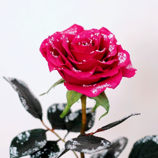 Fake-flower-rose-of-handmade-on-stem-with-snowy-effect-Realistic-foam-red-rose-gift (4).jpg