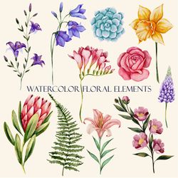 Watercolor floral illustrations. Floral elements