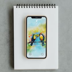 wallpaper, screensaver for phone