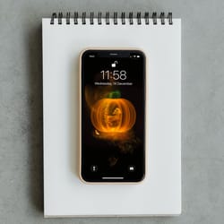 wallpaper, screensaver for phone