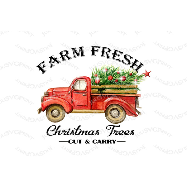 farm Fresh christmas trees 1.jpg