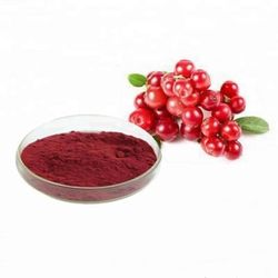 Cranberry Powder - Organic, Dried Wild Berry Juice, Food Grade, Wholesale
