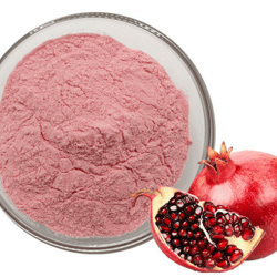 Pomegranate Powder - Organic Dried Fruit Juice, Food Grade, Wholesale