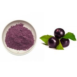 Acai Berry Powder - Organic Dried Fruit Juice, Food Grade, Wholesale