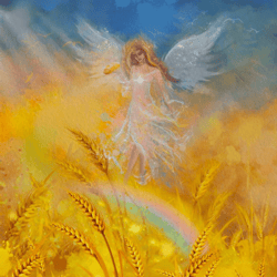 wallpaper, screensaver for phone