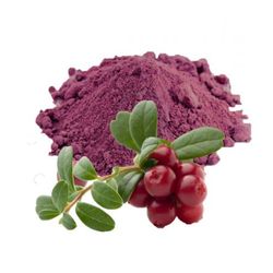 Lingonberry Powder - Organic Dried Wild Cowberry Juice, Food Grade