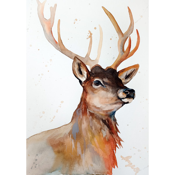 watercolor deer painting by Anne Gorywine