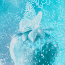 wallpaper, screensaver for phone