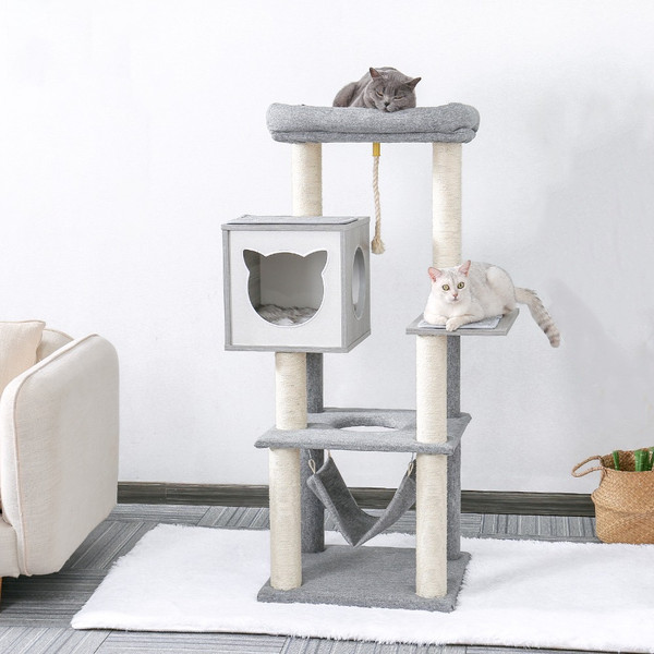 two-cats-are-on-the-cat-tree