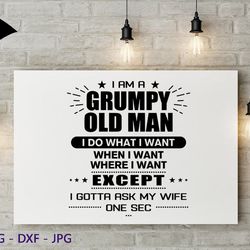I never dreamed I'd become a grumpy old man svg, Birthday Vintage Svg, Aged to perfection svg, Birthday Limite edition