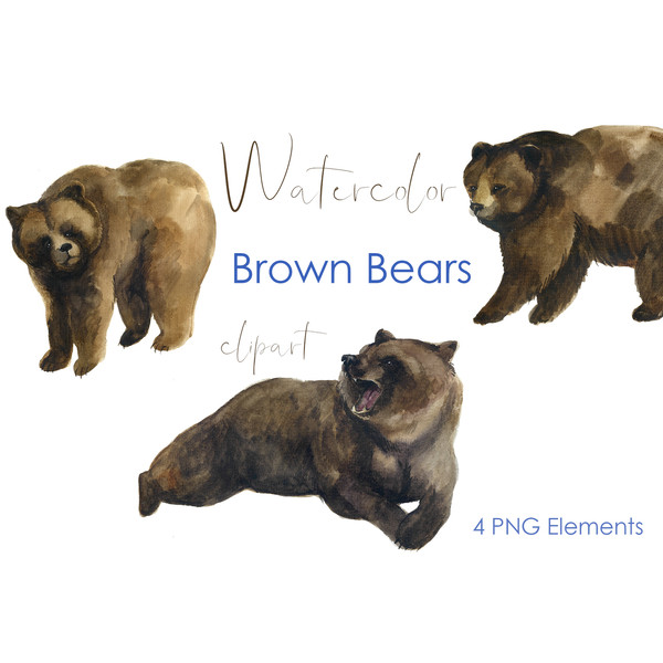 watercolor bear illustration.jpg