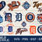 Detroit Tigers.jpg