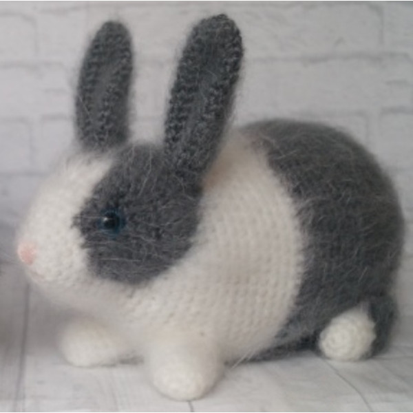 gray dutch rabbit