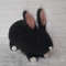 black dutch rabbit