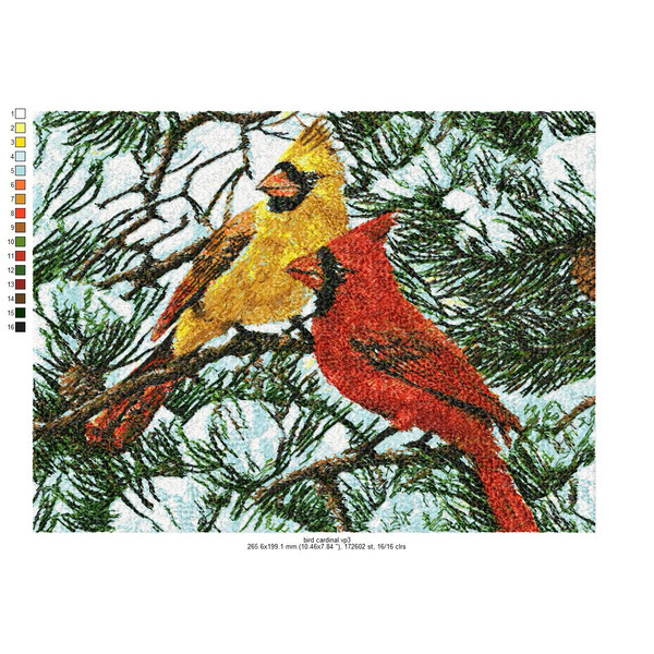 bird cardinal.jpg