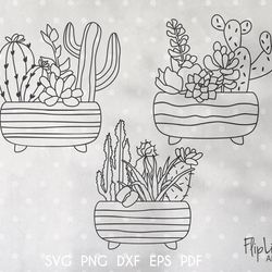 Boho Cactus SVG & PNG clipart bundle, Home Plant, Succulent