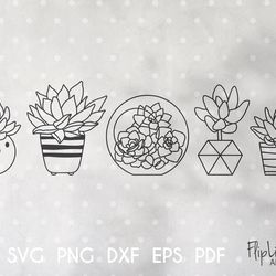boho cactus svg & png clipart bundle, home plant, succulent