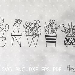 Succulent & Cactus SVG & PNG clipart bundle.