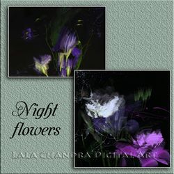 Night flowers, irises and peonies, set of two garden posters, wall decor, wall art, Printable Journaling Scrapbook