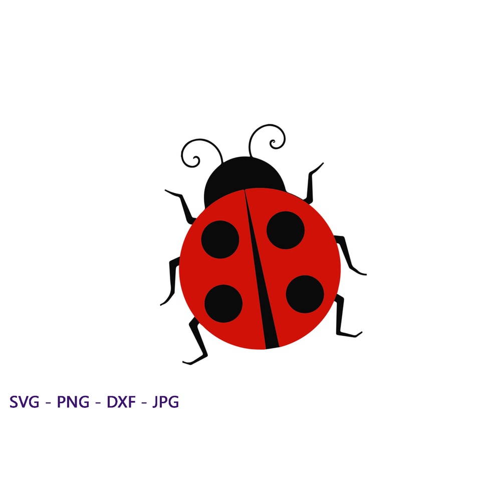 lady bug.png