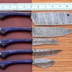 Professional Chef Knives Set Damascus steel Knife sets of 5 PCs