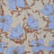 Cotton Fabric 1.jpg