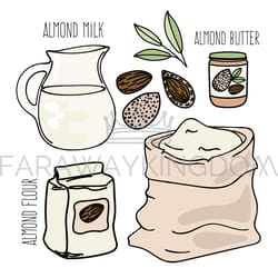 almond food vegetarian paleo diet vector illustration set