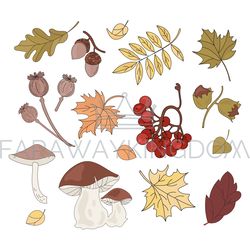 AUTUMN TREASURE Fall Season Nature Vector Illustration Set