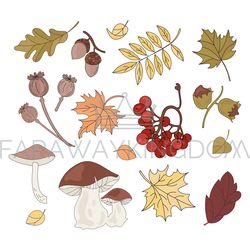 autumn treasure fall season nature vector illustration set
