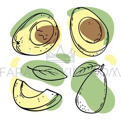 avocado fruit delicious fruit sketch vector illustration set