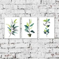 Set of 3 Prints Botanical Herbal Art Prints, Wall Art Picture Gallery, Bedroom wall decor, Watercolor Print