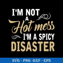 i'm not a hot mess i'm a spicy disaster svg, funny svg