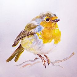Robin bird Watercolor Painting Birds ORIGINAL Watercolor Wall Art Bird Art