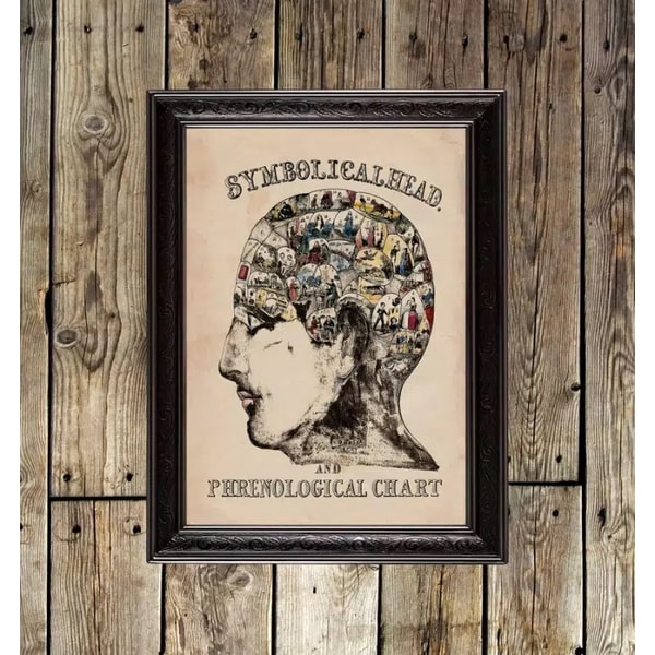 Symbolic head and phrenological diagram. 47. - Inspire Uplift